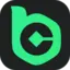 Logo BC.GAME